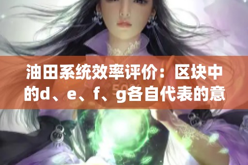 油田系統(tǒng)效率評價(jià)：區(qū)塊中的d、e、f、g各自代表的意義解析