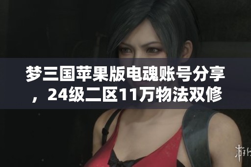 夢三國蘋果版電魂賬號分享，24級二區(qū)11萬物法雙修體驗攻略