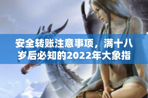 安全轉(zhuǎn)賬注意事項，滿十八歲后必知的2022年大象指南