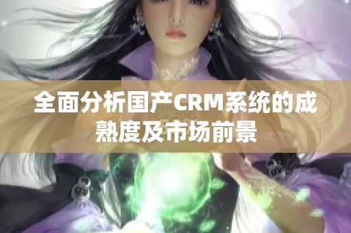 全面分析國產(chǎn)CRM系統(tǒng)的成熟度及市場前景