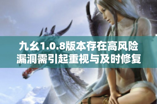 九幺1.0.8版本存在高風(fēng)險漏洞需引起重視與及時修復(fù)