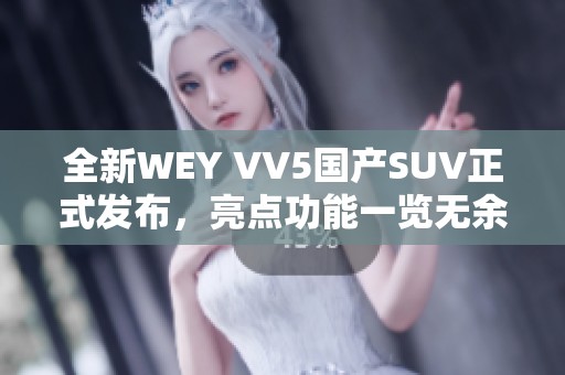 全新WEY VV5國產SUV正式發(fā)布，亮點功能一覽無余