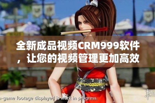 全新成品視頻CRM999軟件，讓您的視頻管理更加高效便捷
