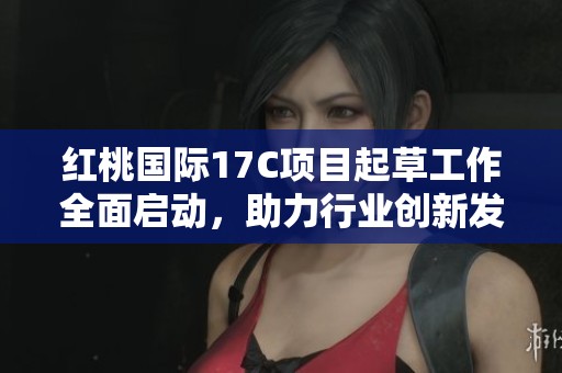紅桃國際17C項目起草工作全面啟動，助力行業(yè)創(chuàng)新發(fā)展