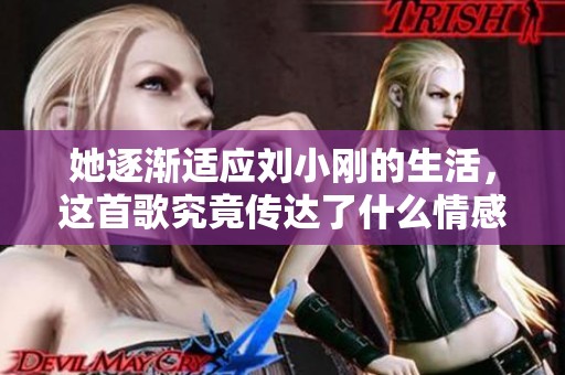 她逐漸適應(yīng)劉小剛的生活，這首歌究竟傳達了什么情感