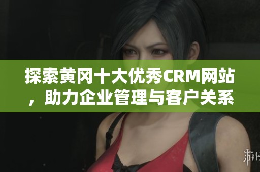 探索黃岡十大優(yōu)秀CRM網(wǎng)站，助力企業(yè)管理與客戶關(guān)系提升