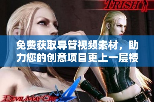 免費(fèi)獲取導(dǎo)管視頻素材，助力您的創(chuàng)意項(xiàng)目更上一層樓