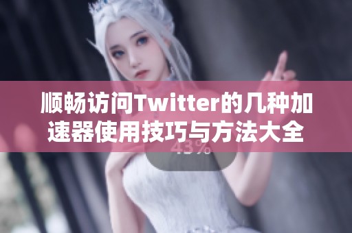 順暢訪問Twitter的幾種加速器使用技巧與方法大全