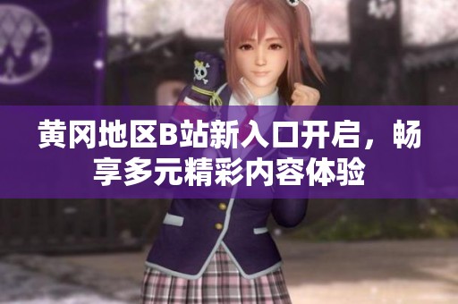 黃岡地區(qū)B站新入口開啟，暢享多元精彩內(nèi)容體驗